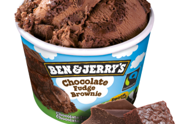 Ben & Jerry Chocolate Fudge Brownie