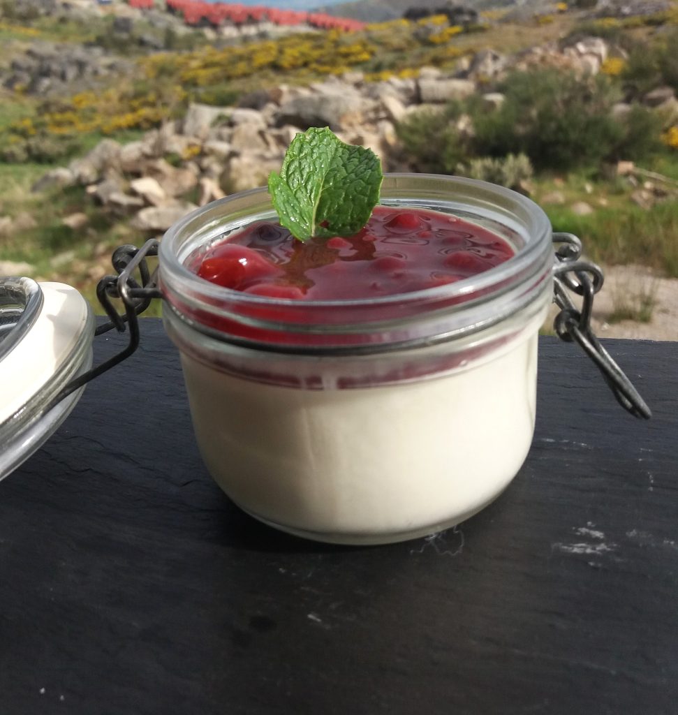 Panacota de Frutos Silvestres